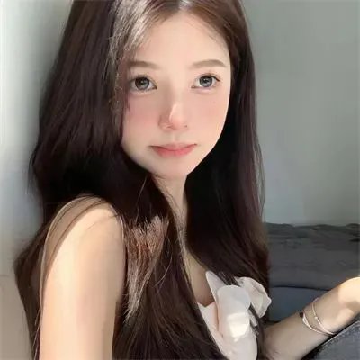 校园秘密档案